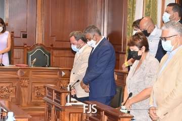 Pleno ordinario de julio de 2022/Francisco Javier Santana.